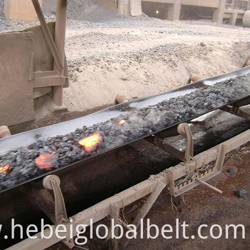 Heat Resistant Conveyor Belt1